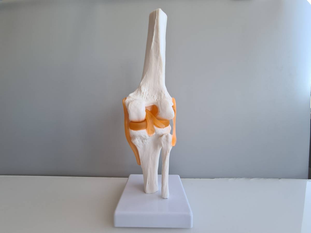 featured image fo rhow long does it take to recover from joint replacement