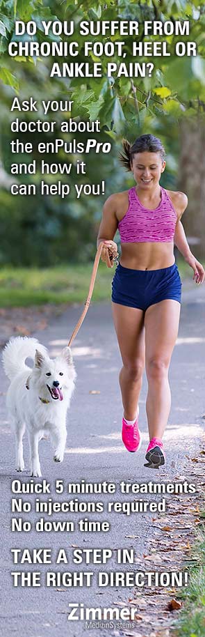 Women walking with dog stock photo